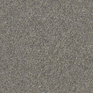 WITHIN REACH I by Shaw Floors - Kidskin