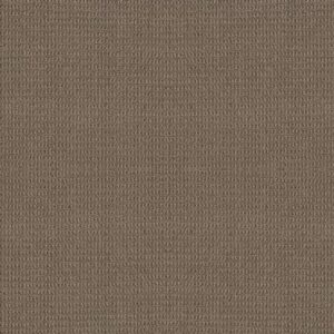 PORTOFINO by Shaw Floors - Timber Wolf