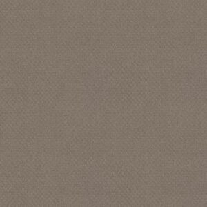 DEL VISTA by Shaw Floors - Koala