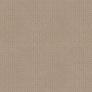 TOWN SQUARE by Shaw Floors - Dune
