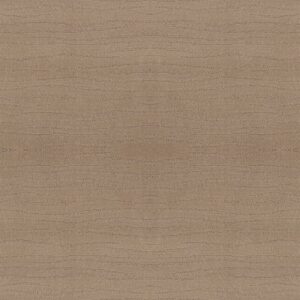 CAPISTRANO by Shaw Floors - Beach Grass