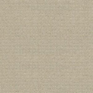 MY DESTINATION PATTERN by Shaw Floors - Textured Canvas