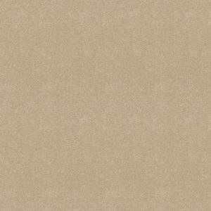 FANTASTICAL by Shaw Floors - Sandy Shore