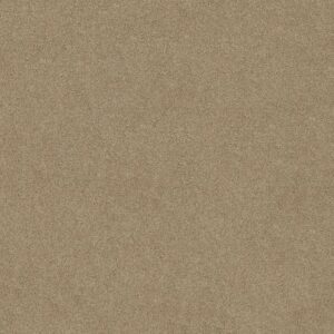 BEST BASICS by Shaw Floors - Mushroom