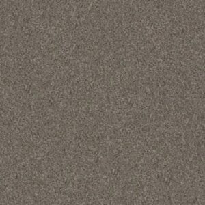 WITHOUT LIMITS II by Shaw Floors - Misty Mica