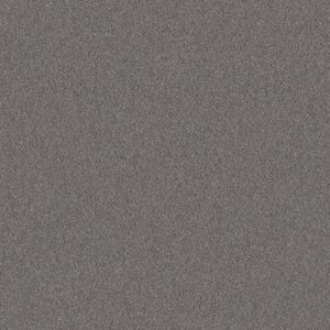 WITHOUT LIMITS III by Shaw Floors - Silver Spoon