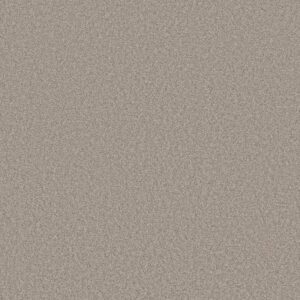 HARMONIOUS I by Shaw Floors - Fossil Path