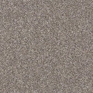 AFTER IT II by Shaw Floors - Tree House