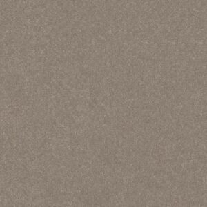 HARD AT PLAY III 15' by Shaw Floors - Chic Greige