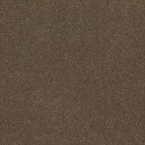 HARD AT PLAY III 15' by Shaw Floors - Mission Ridge