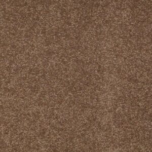 TIMELESS APPEAL II 15' by Shaw Floors - Pine Cone
