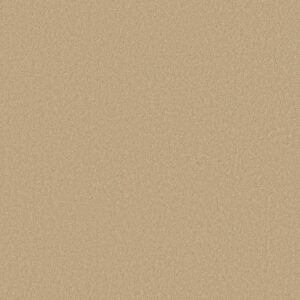 SANDY HOLLOW I 12' by Shaw Floors - Marzipan