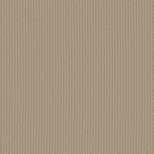 COMPLETE CONTROL by Shaw Floors - Boutique