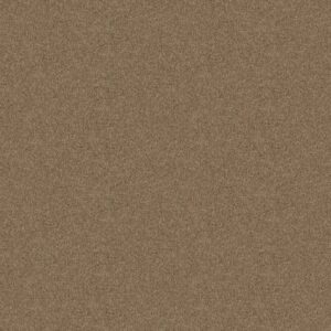 NEWBERN CLASSIC 12' by Shaw Floors - Fossil