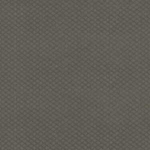 ENTWINED WITH YOU by Shaw Floors - Metal