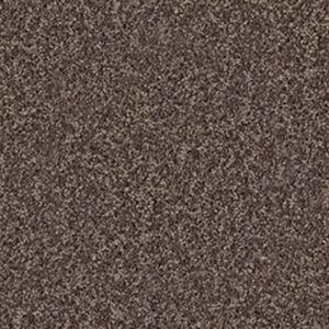 GO BIG by Shaw Floors - Saddle