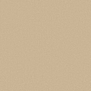 MAGIC AT LAST I 12' by Shaw Floors - Butternut