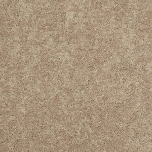 BRICEVILLE CLASSIC 15 by Shaw Floors - Wild Dune