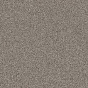 COLOR FLAIR by Shaw Floors - Dolphin