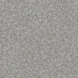 TACTICAL by Shaw Floors - Castle