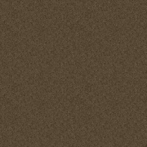 ONE OVER ALL by Shaw Floors - Urban Legend