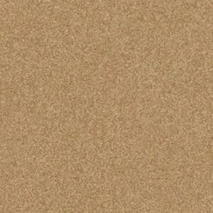 SANDY HOLLOW CLASSIC III 12' by Shaw Floors - Cork