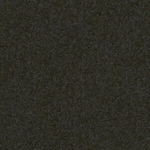 SANDY HOLLOW CLASSIC III 12' by Shaw Floors - Lilly Pad