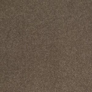 SANDY HOLLOW CLASSIC III 12' by Shaw Floors - Castle Rock