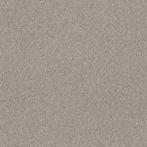 PLATINUM TEXTURE ACCENTS by Shaw Floors - Artifact