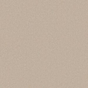 FIND YOUR COMFORT NS II by Shaw Floors - Happy Place (S)