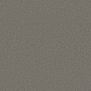 STRANDS OF NATURE I by Shaw Floors - Antique Pin