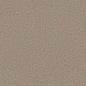 ALWAYS READY I by Shaw Floors - Summerville