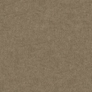 ORIGINS II by Shaw Floors - Briar