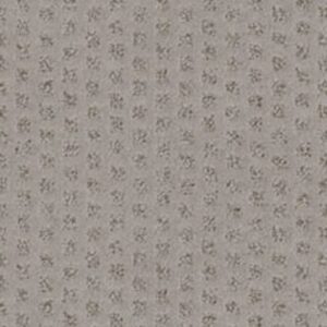 THE ARTS by Shaw Floors - Arctic Frost