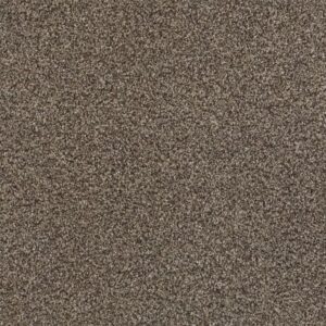 FIND YOUR COMFORT TT II by Shaw Floors - Summer House (T)