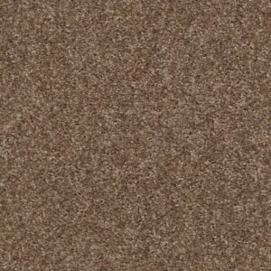 PLAY HARD by Shaw Floors - Mocha Froth
