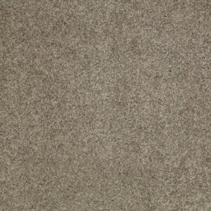 SOURCE II by Shaw Floors - Elephant