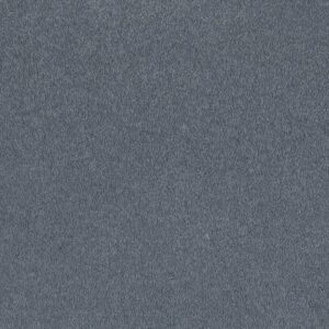 EVERYDAY COMFORT (S) by Shaw Floors - Rhapsody Blue