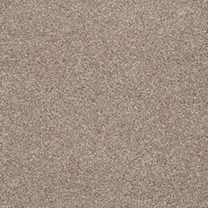 SWEET INSPIRATION II by Shaw Floors - Sombrero
