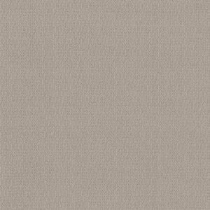 LOOP DE LOOP by Shaw Floors - Sandstone