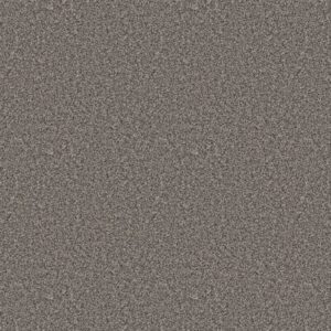 ALL ABOUT IT by Shaw Floors - Castle