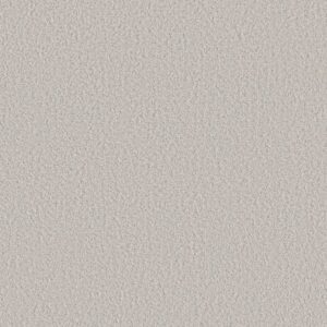 AERIAL VIEW by Shaw Floors - Frost