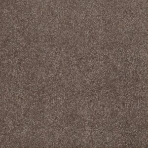 PERFECTLY TIMED by Shaw Floors - Rustic Taupe