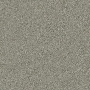 MONTAGE II by Shaw Floors - Tempting Taupe