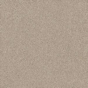 MONTAGE II by Shaw Floors - Chateau