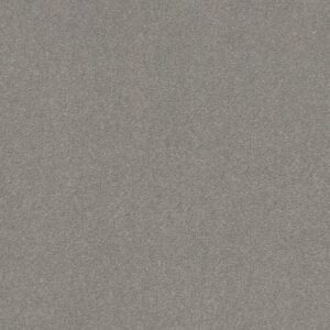 WELL GROUNDED I 15 by Shaw Floors - Dusty Trail