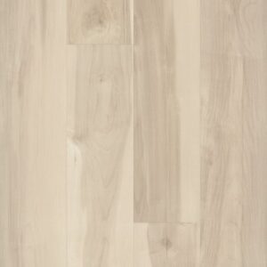 Symbiotic 30 by Shaw Floors - Nova