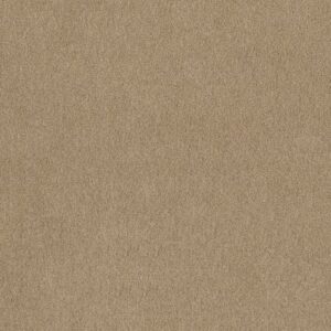 SALINA I by Shaw Floors - Humus