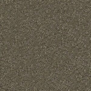 SALINA I by Shaw Floors - Charcoal
