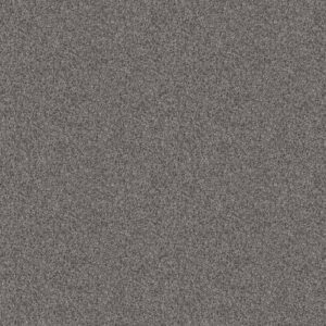 CALM SIMPLICITY II by Shaw Floors - Harbor Dock